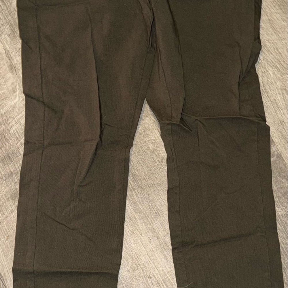 Women’s business casual pixie style pants
